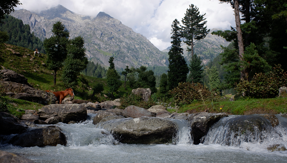 Kashmir-Taobat+Arang kel